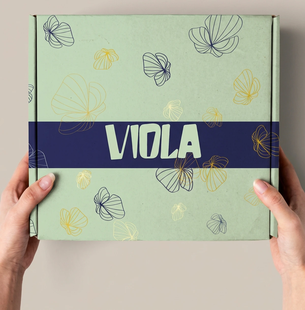 Viola packaging box held in hands